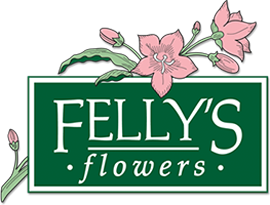 Felly's Flowers - Logo