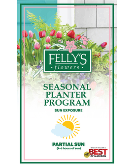 Seasonal Planter Subscription - Partial Sun Plant